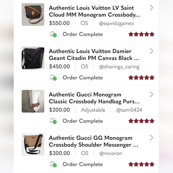 Authentic Louis Vuitton LV Ellipse PM Monogram Handbag Tote Dust Bag Lock - Picture 16 of 16